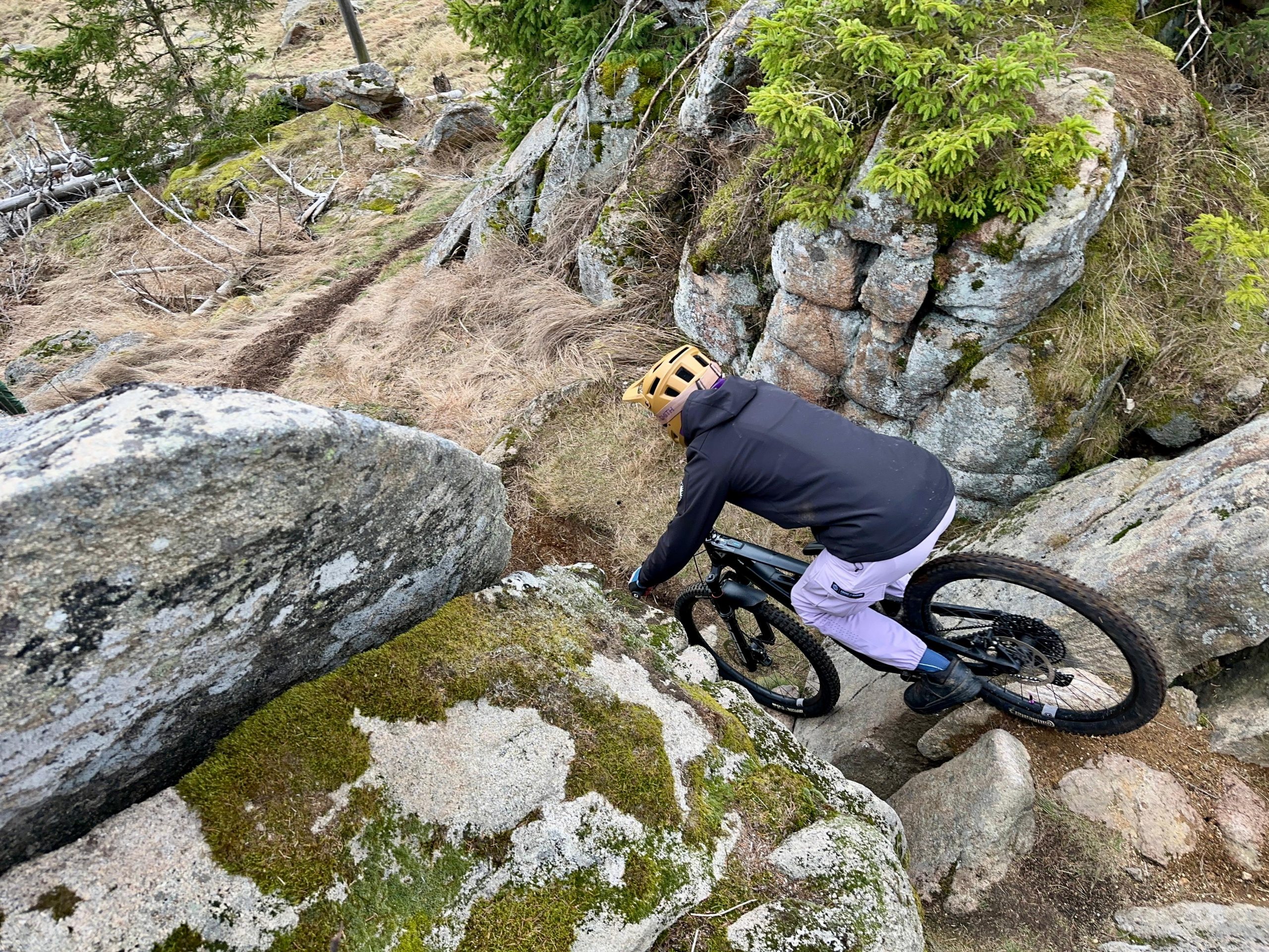 Aktivitäten im Harz